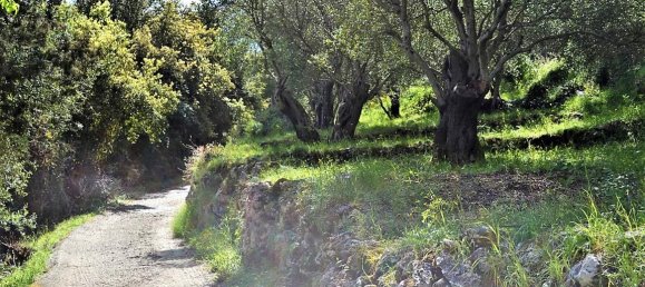 4000m² Hotel in Corfu, Greece No. 5018 19