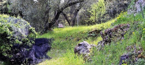 4000m² Hotel in Corfu, Greece No. 5018 15