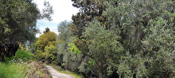 4000m² Hotel in Corfu, Greece No. 5018 20