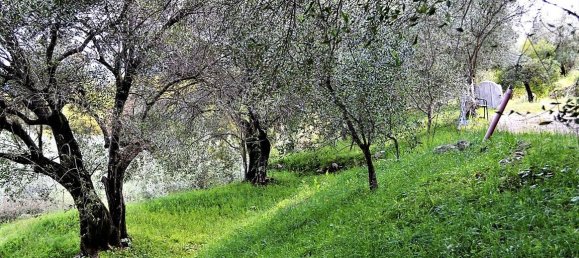 4000m² Hotel in Corfu, Greece No. 5018 12