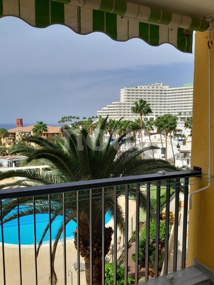 1 bedroom Apartment in Adeje, Spain No. 13961