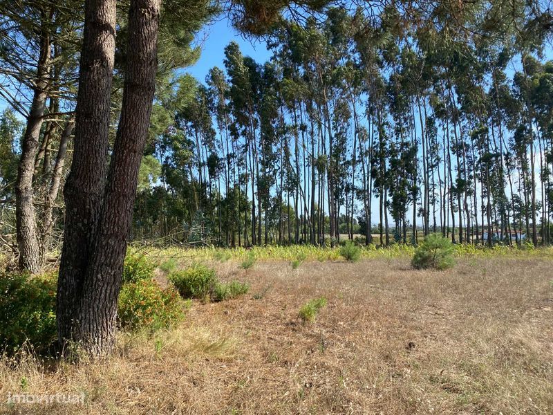 Земельный участок 6м² в Торриш Ведраш, Португалия № 354359