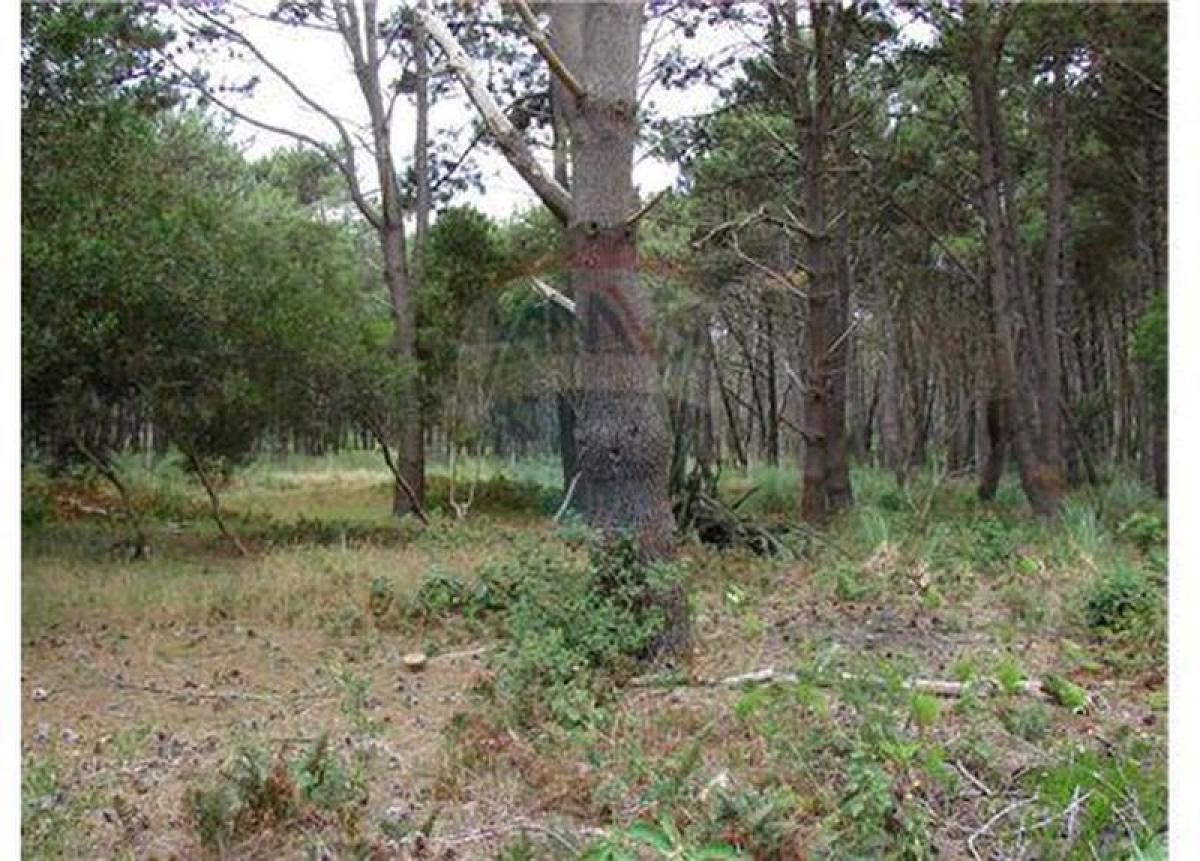 Terreno em Maldonado, Uruguay N.º 15278