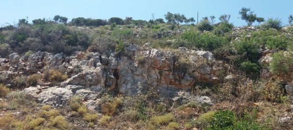  Land in Zakynthos, Greece No. 8542 13