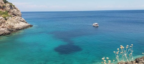 Hotel in Zakynthos, Greece, Nr. 8542 4