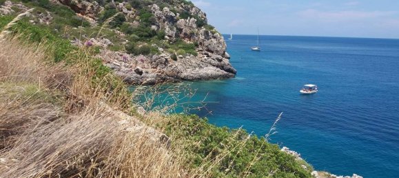 Hotel in Zakynthos, Greece, Nr. 8542 14