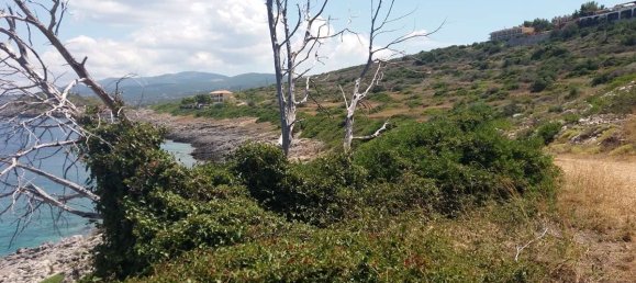 Hotel in Zakynthos, Greece, Nr. 8542 16