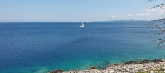 Hotel in Zakynthos, Greece, Nr. 8542 2