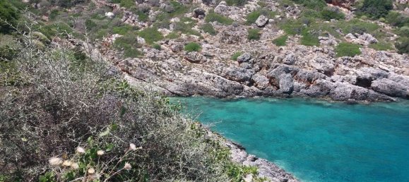 Hotel in Zakynthos, Greece, Nr. 8542 15