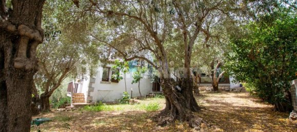 Villa de 3 dormitorios en Loiri Porto San Paolo, Italy No. 114167 40