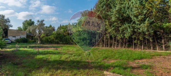 3 chambres Villa à Grammichele, Italy No. 166774 14