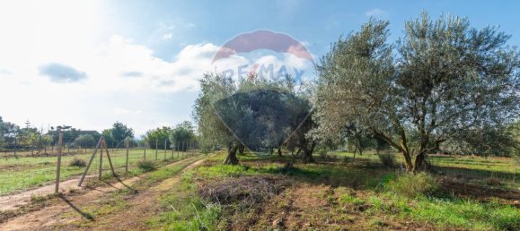 3 chambres Villa à Grammichele, Italy No. 166774 19