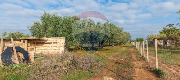 3 chambres Villa à Grammichele, Italy No. 166774 2