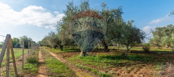 3 chambres Villa à Grammichele, Italy No. 166774 18