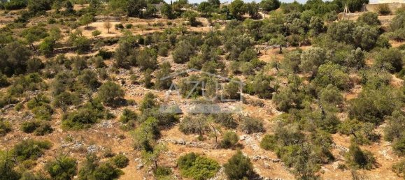 3 bedrooms Villa in Loule, Portugal No. 145553 22