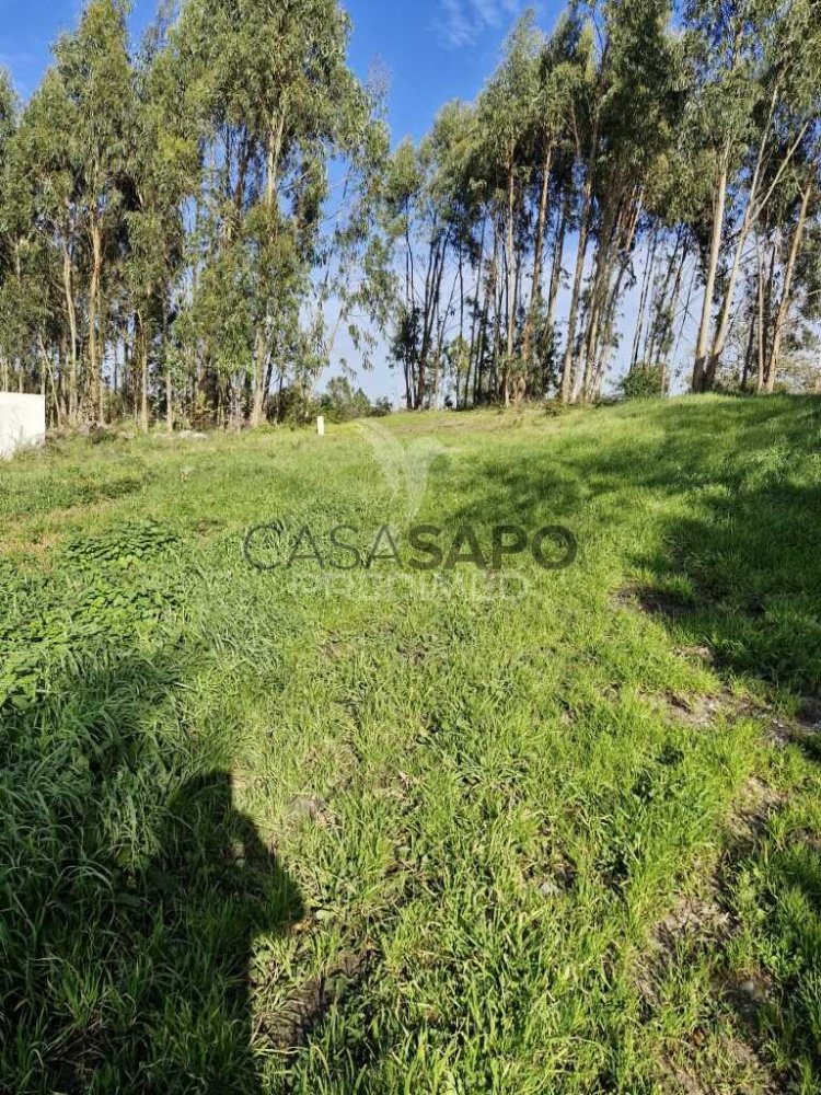 Terreno en Quarteira, Portugal No. 196015