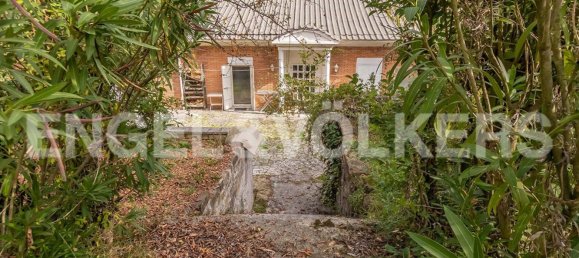 6 rooms Villa in Mentana, Italy No. 63815 22