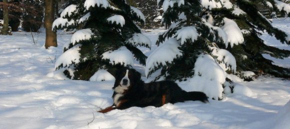  Land in Rhein-Lahn, Germany No. 217978 13