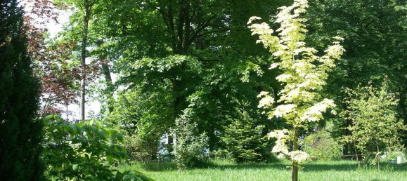  Land in Rhein-Lahn, Germany No. 217978 10