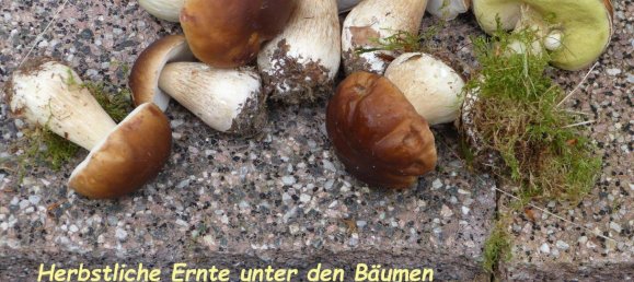  Land in Rhein-Lahn, Germany No. 217978 7