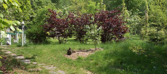  Land in Rhein-Lahn, Germany No. 217978 12