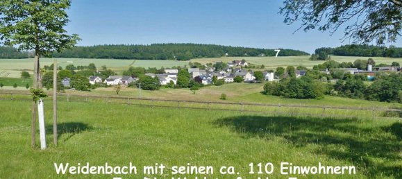  Land in Rhein-Lahn, Germany No. 217978 2
