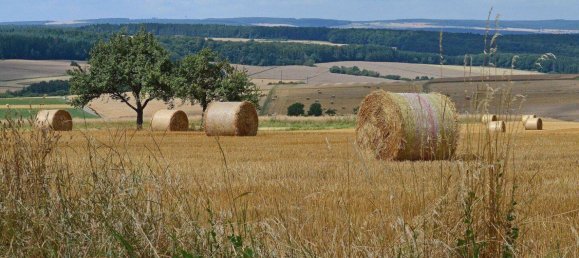  Land in Rhein-Lahn, Germany No. 217978 5