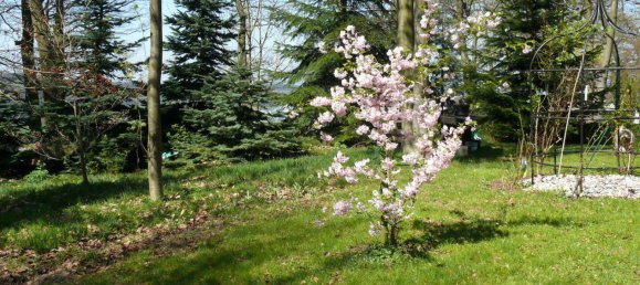  Land in Rhein-Lahn, Germany No. 217978 8