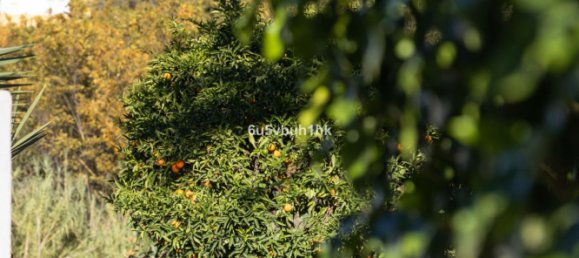 5 bedrooms House in Coin, Spain No. 144796 34