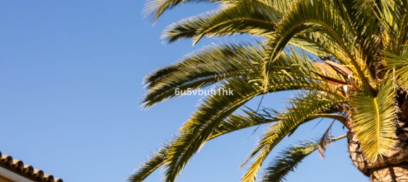 5 bedrooms House in Coin, Spain No. 144796 26