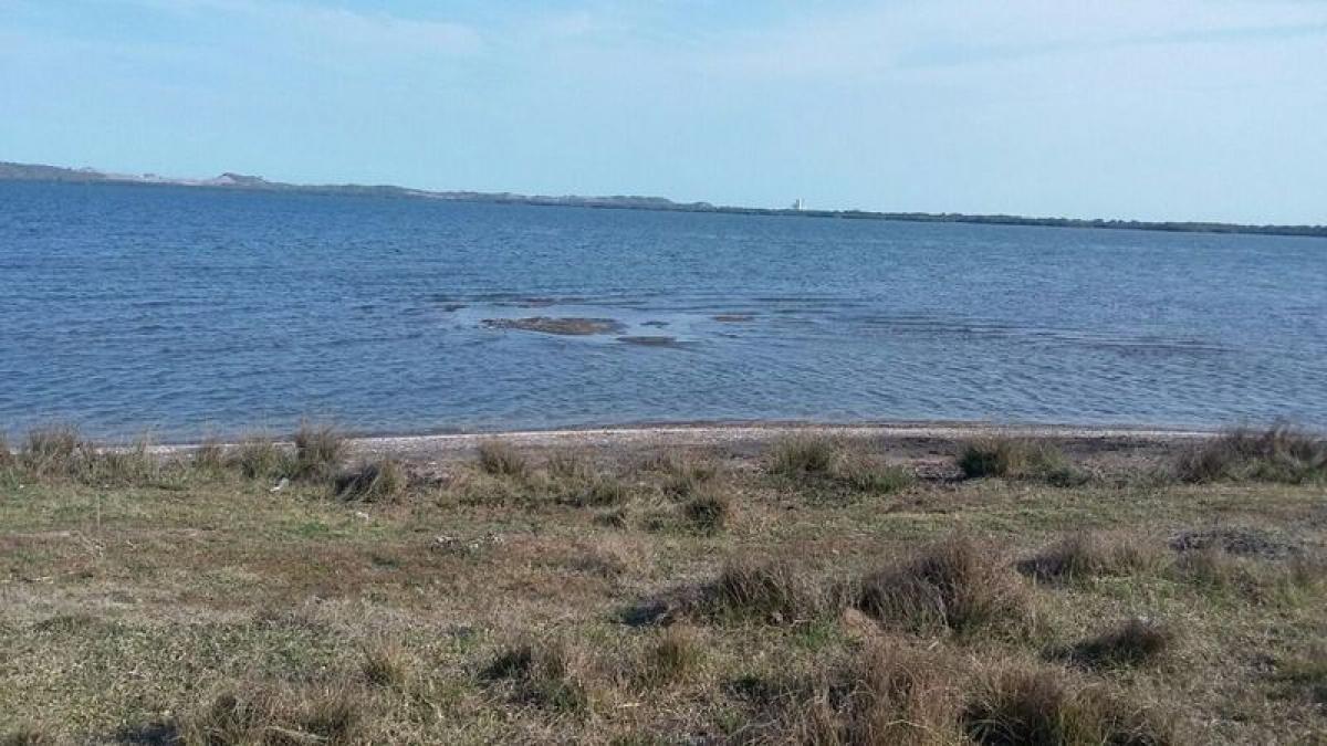  Land in Veracruz, Mexico No. 204113