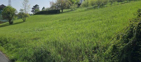  Land in Gratwein-Strassengel, Austria No. 234999 2