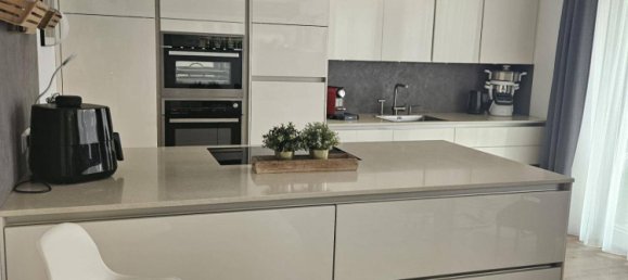 5-Zimmer Haus in Spillern, Austria, Nr. 164533 5