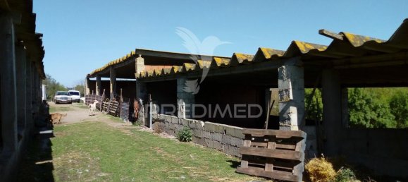 Casa de 2 dormitorios en Santarem, Portugal No. 97664 22