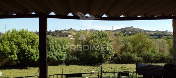 Casa de 2 dormitorios en Santarem, Portugal No. 97664 7