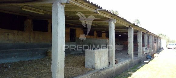 Casa de 2 dormitorios en Santarem, Portugal No. 97664 23