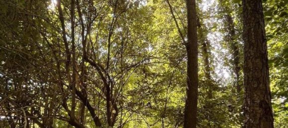 4 rooms House in Rohr im Burgenland, Austria No. 245178 24