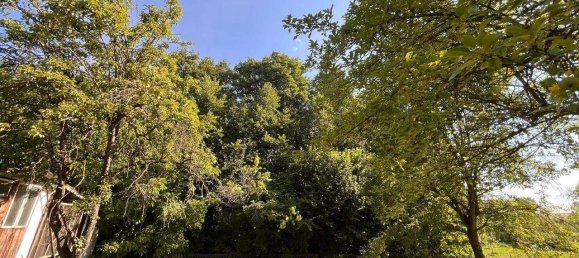 4 rooms House in Rohr im Burgenland, Austria No. 245178 3