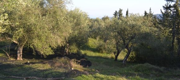 8253m² Hotel in Corfu, Greece No. 6513 6