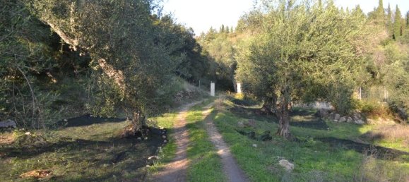 8253m² Hotel in Corfu, Greece No. 6513 2