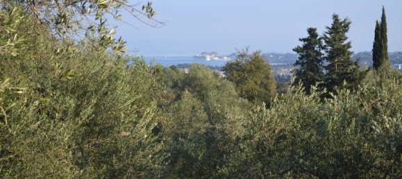 8253 m² hotel en venta en Corfu, Central Corfu and Diapontian Islands, Corfu, Ionian Islands, Peloponnese, Western Greece and the Ionian, Greece № 6513 5