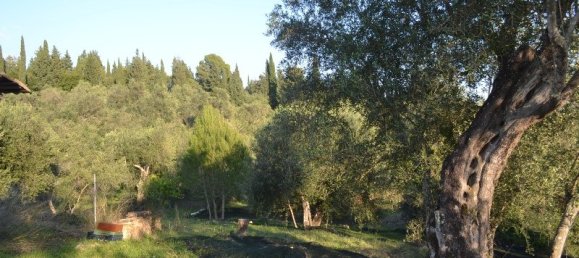 8253m² Hotel in Corfu, Greece No. 6513 7