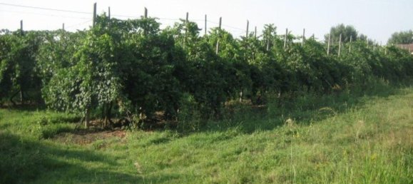 Casa de 6 habitaciónes en Soliera, Italy No. 230917 5