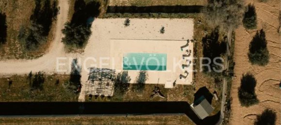 15-Zimmer Villa in Torchiarolo, Italy, Nr. 61295 14