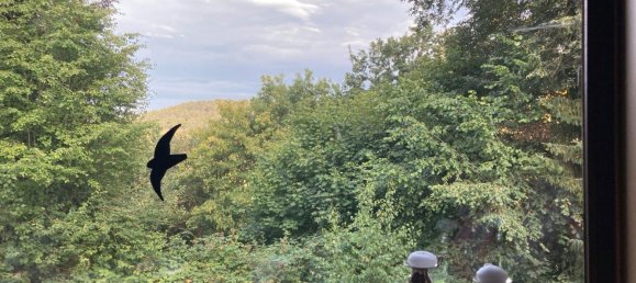 3 bedrooms Villa in Vogelsbergkreis, Germany No. 264547 12