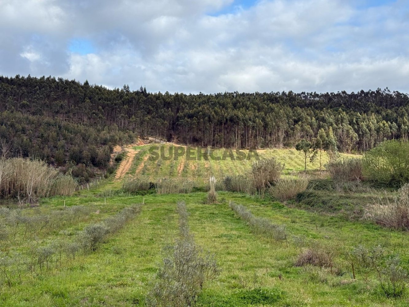  Land in Torres Vedras, Portugal No. 314836