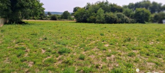  قطعة أرض في Saint-Vincent-sur-Oust, France رقم 316529 2