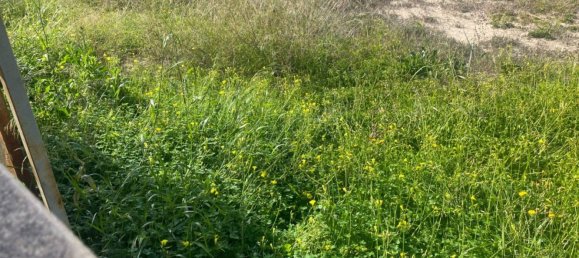  Land in Alicante, Spain No. 97645 19