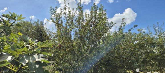 5 bedrooms House in Rumegies, France No. 244747 16