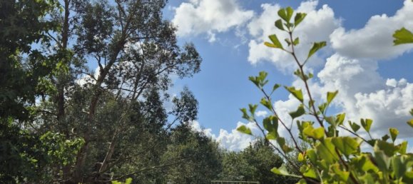 5 bedrooms House in Rumegies, France No. 244747 13